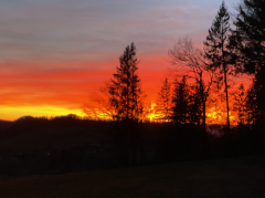 Bild2.png